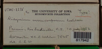 Image Associated With the Occurence